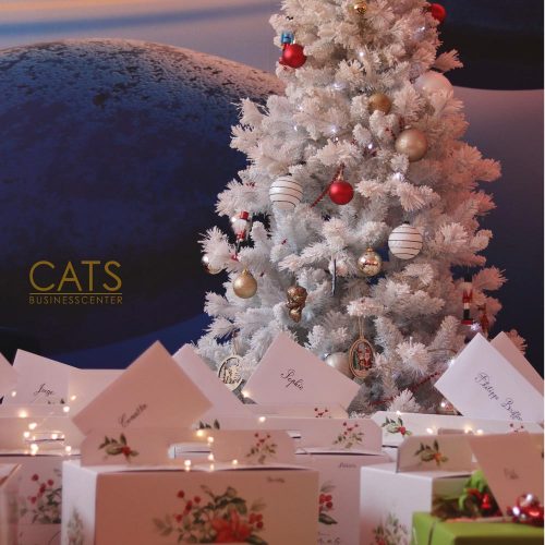 posts-voeux-2024-cats-bc-2
