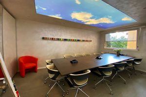 salle-de-reunion-cats-business-center-